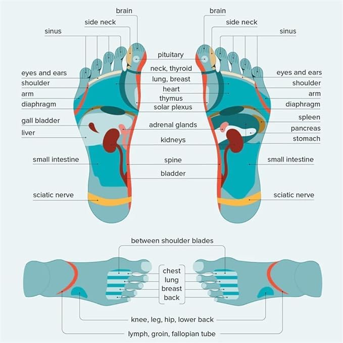 Reflexology Socks With Massage Stick